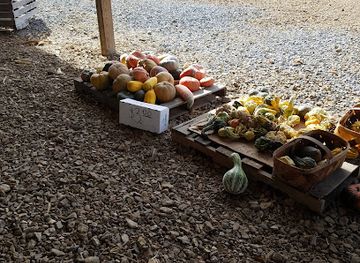 kentucky/green-river-lake-state-park/attraction/heavenly-haven-farm-zip-lines