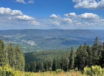 germany/bavarian-forest-national-park/attraction/riesloch-wasserfalle