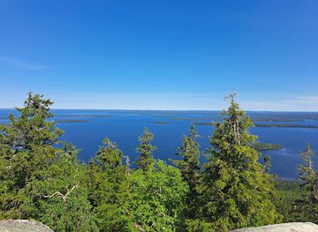finland/south-karelia/attraction/koli-national-park
