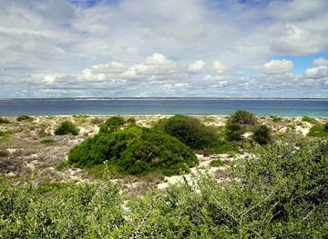 madagascar/atsimo-andrefana/attraction/nosy-ve