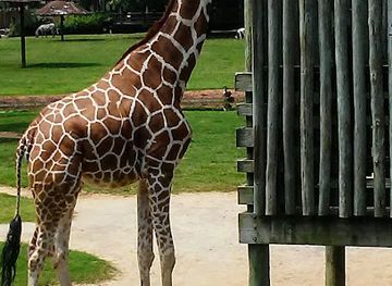 alabama/montgomery/attraction/mann-wildlife-learning-museum