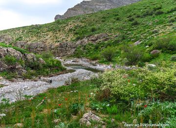 kazakhstan/tian-shan/attraction/karatau-nature-reserve