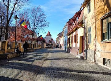 romania/sibiu/attraction/natural-history-museum-garden