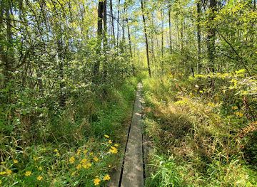 wisconsin/kettle-moraine-state-forest/attraction/spruce-lake-bog