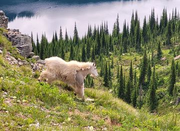 montana/eastern-montana/attraction/the-great-montana-experience