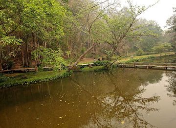 thailand/mae-hong-son/attraction/tham-pla-fish-cave