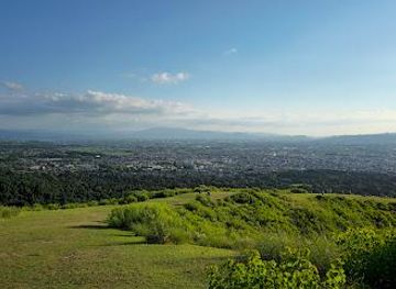 japan/nara/attraction/mount-wakakusa