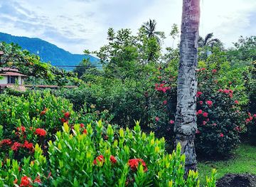 costa-rica/osa-peninsula/attraction/parque-de-las-esferas