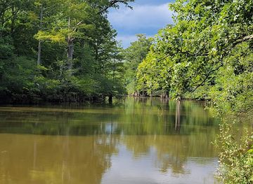 Hatchie National Wildlife Refuge