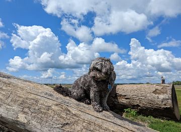 south-dakota/sioux-falls/attraction/family-park