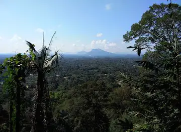 Top of Mount Singai