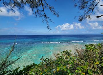 guam/agat/attraction/guam-star-sand-jungle-adventure