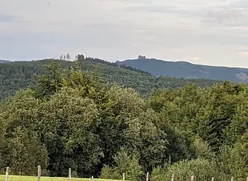 Plästerlegge
