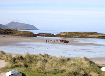 ireland/county-kerry/attraction/atlantic-irish-seaweed