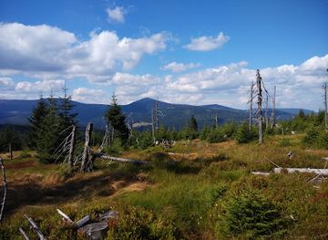 czechia/beskydy-mountains/attraction/cernohorske-raseliniste