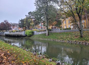lithuania/palanga-beach/attraction/j-basanaviciaus-street
