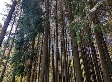 portugal/lamego/attraction/parque-de-merendas-serra-da-meadas