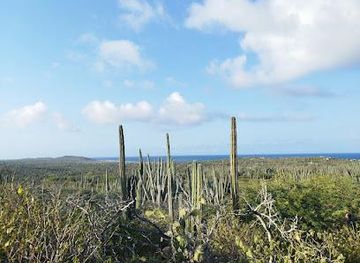 aruba/noord/attraction/alto-vista-winery-distillery