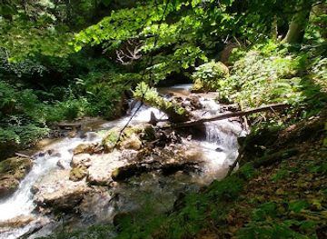 romania/prahova/attraction/cascada-pirusca