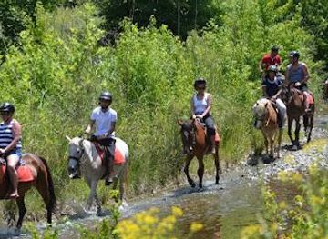 turkiye/marmaris/attraction/marmaris-pinar-at-safari