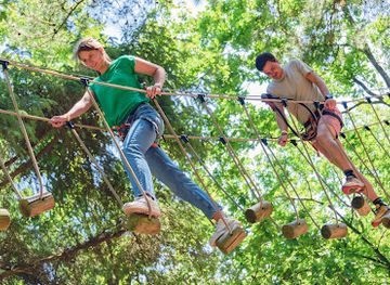 netherlands/wadden-islands/attraction/klimbos-terschelling-klimdaris