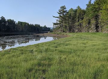 maine/mount-desert-island/attraction/babson-creek-preserve