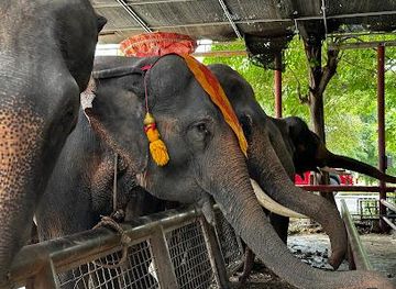 thailand/ayutthaya/attraction/ayutthaya-elephant-palace-royal-kraal