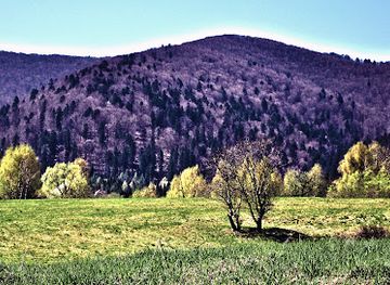 poland/bieszczady-mountains/attraction/bieszczady-forest-railway
