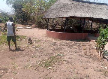 zambia/eastern-province/attraction/south-luangwa-national-park