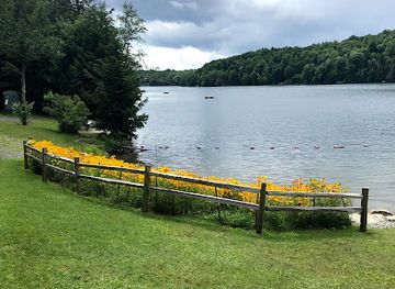 vermont/molly-stark-state-park/attraction/green-mountain-beach