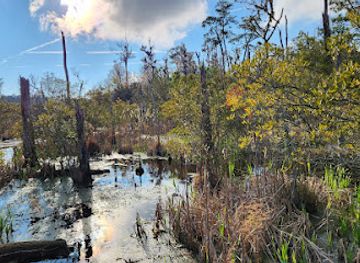 north-carolina/inner-banks/attraction/goose-creek-state-park
