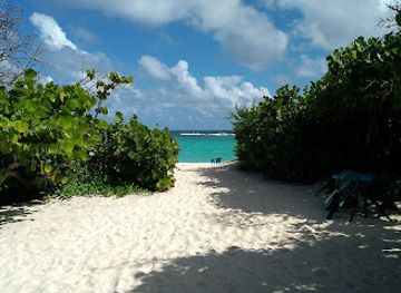 british-virgin-islands/jost-van-dyke-beaches/attraction/jack-bay-point