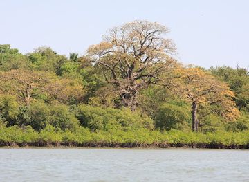 the-gambia/wuli-east/attraction/river-gambie