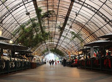 brazil/planalto-atlantico/attraction/rua-coberta