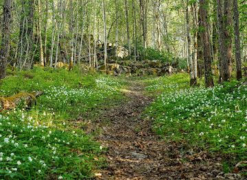 sweden/orebro/attraction/retratten-naturreservat