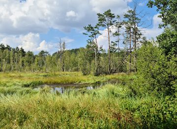 germany/oberpfälzer-wald/attraction/prackendorfer-und-kulzer-moos
