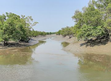 bangladesh/sundarbans-national-park/attraction/eco-village