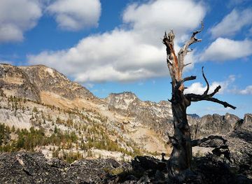 montana/bitterroot-national-forest/attraction/trapper-creek-trailhead