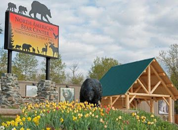 minnesota/iron-range/attraction/north-american-bear-center