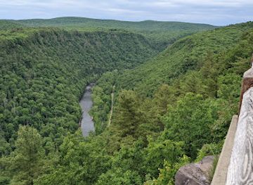 pennsylvania/bald-eagle-state-park/attraction/leonard-harrison-state-park-visitor-center-or-grand-canyon-of-pennsylvania