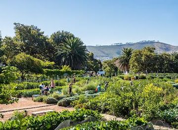 south-africa/cape-town/attraction/oranjezicht-city-farm