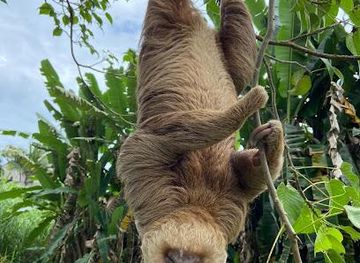 costa-rica/puerto-viejo/attraction/your-lucky-tour