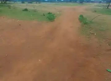 KENYA WILDLIFE SERVICE-KAJIADO