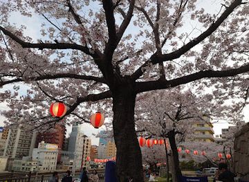 japan/harima/attraction/hanakuma-park