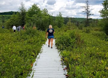 west-virginia/dolly-sods-wilderness/attraction/cranesville-swamp-preserve