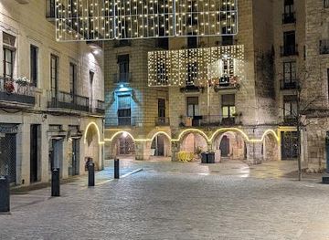 spain/costa-brava/attraction/placa-del-vi