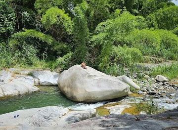 puerto-rico/manati/attraction/la-piedra-escrita