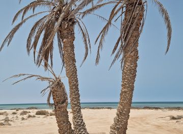 tunisia/djerba-island/attraction/plage-du-tresor-de-jade