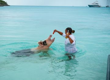 the-bahamas/nassau-and-paradise-island/attraction/black-sails-tours