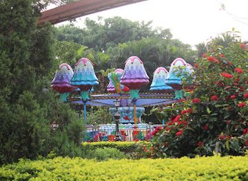 india/assam/attraction/accoland